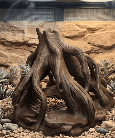 Tall Root Yuva