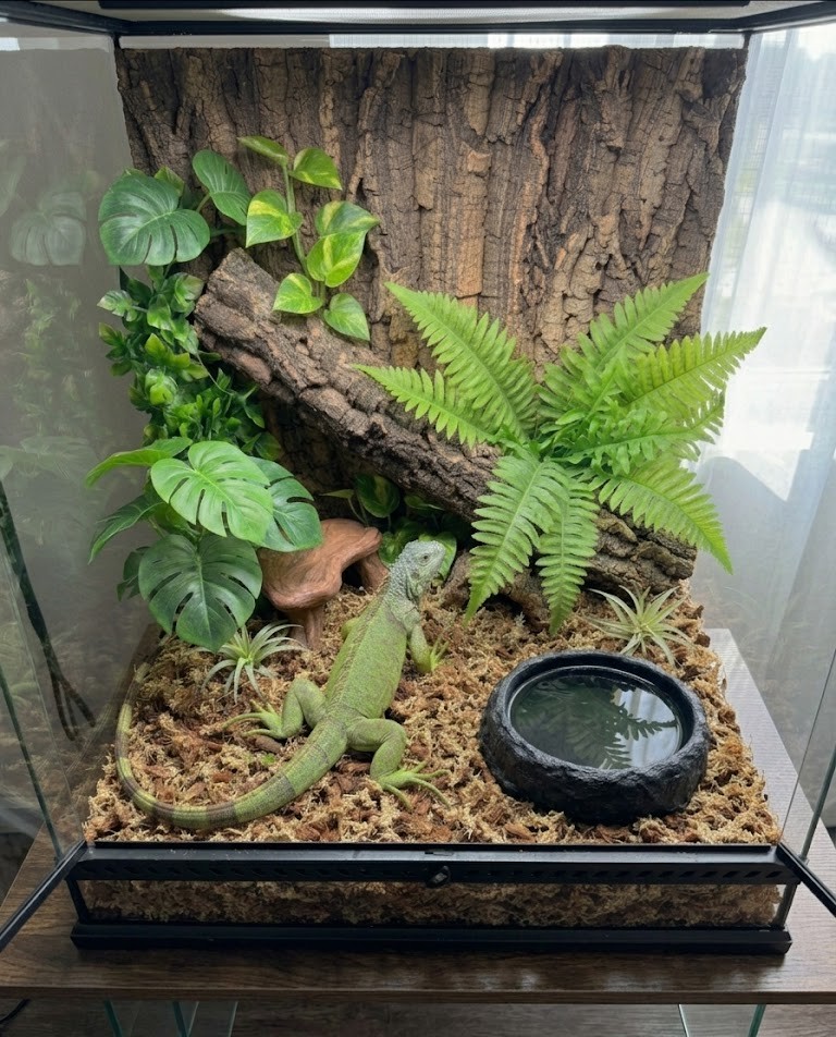 Cozy Yem - Su kabı - Görsel 2