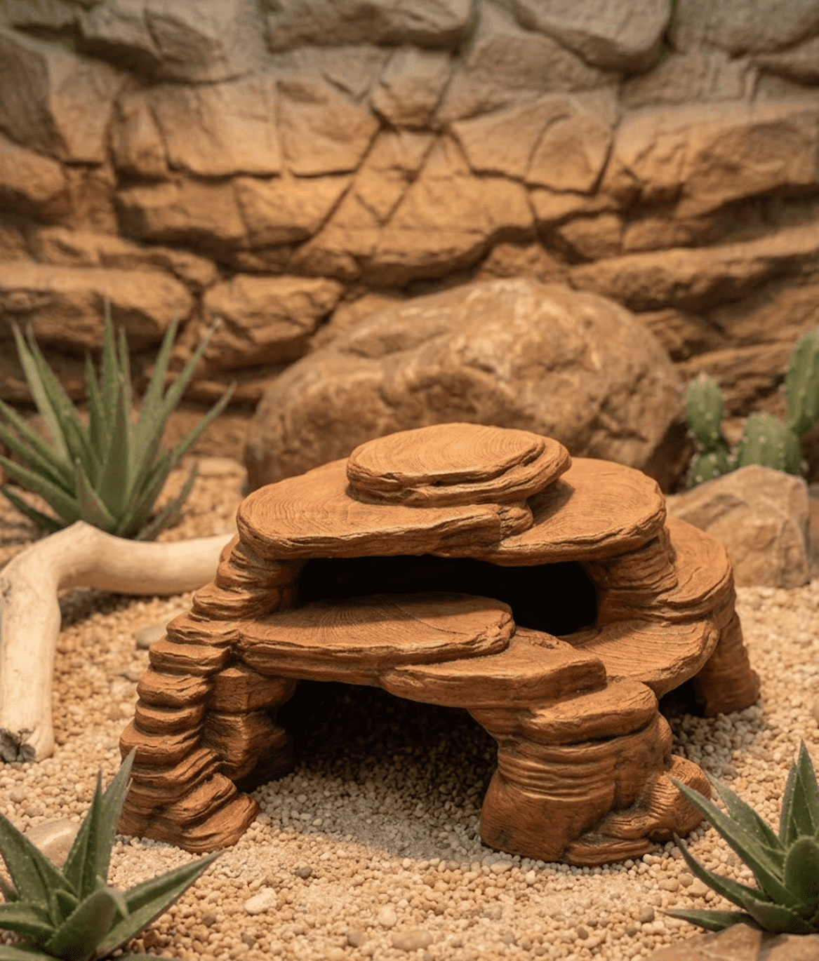 Desert Mağra - Görsel 3