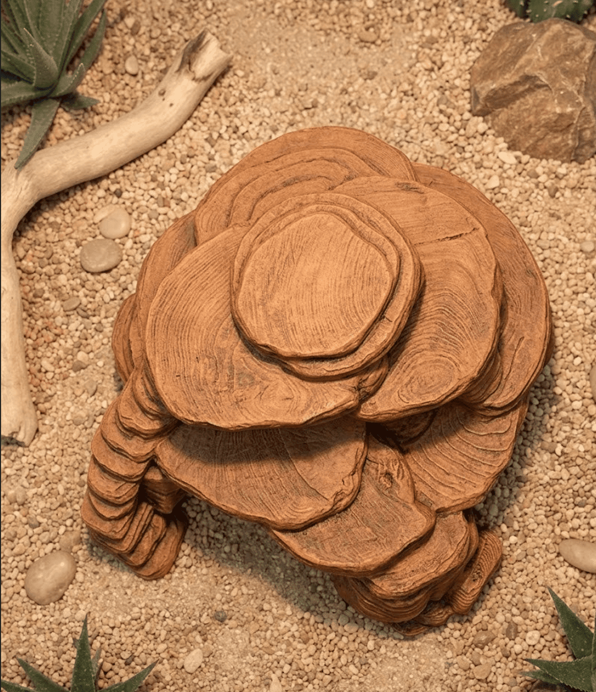 Desert Mağra - Görsel 2