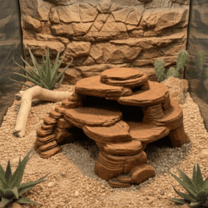 Desert Mağra