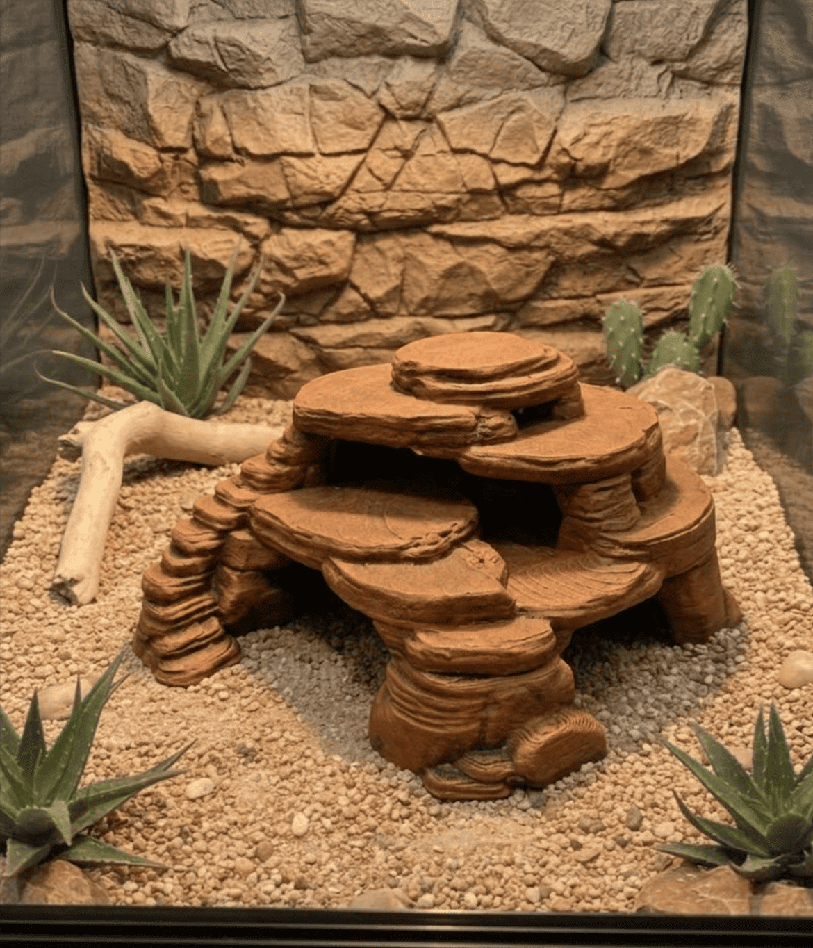 Desert Mağra